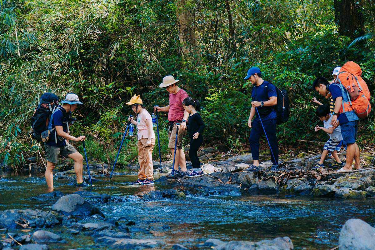 Hiking Trails Near Ho Chi Minh City